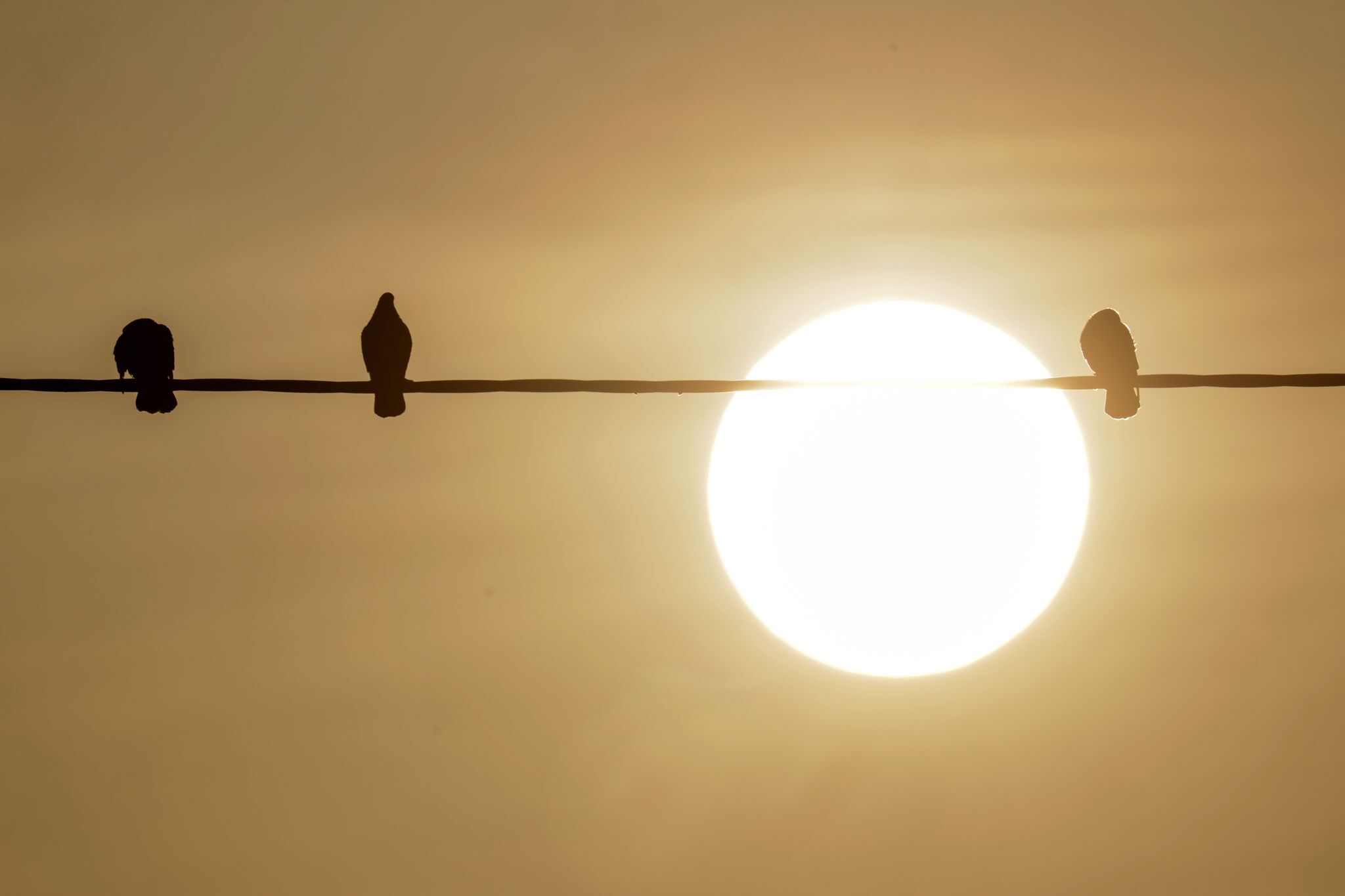 DWD: Nochmal teils milchig-trübes Licht wegen Saharastaub