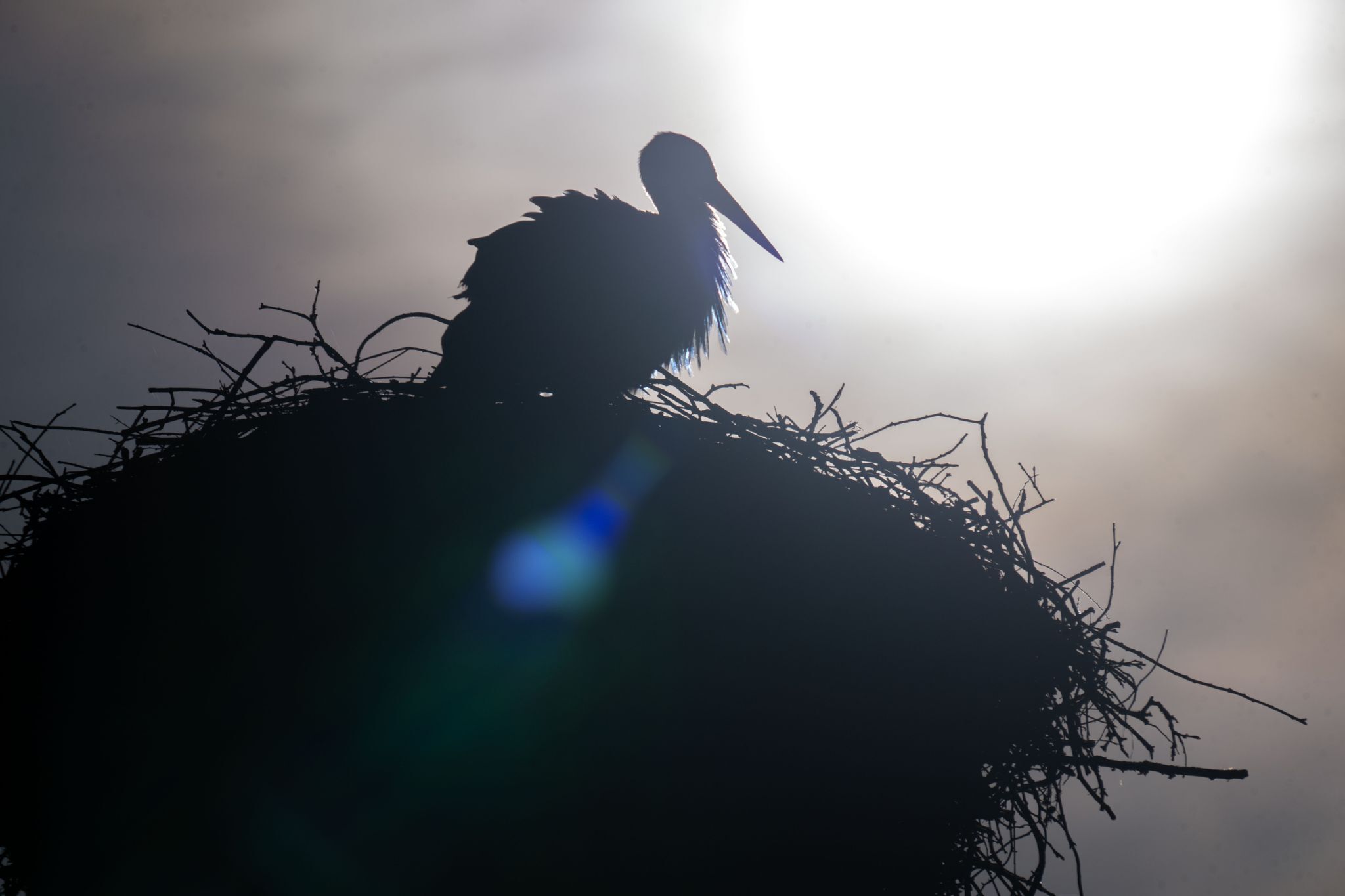 Am Wahlsonntag wird es frühlingshaft in Bayern