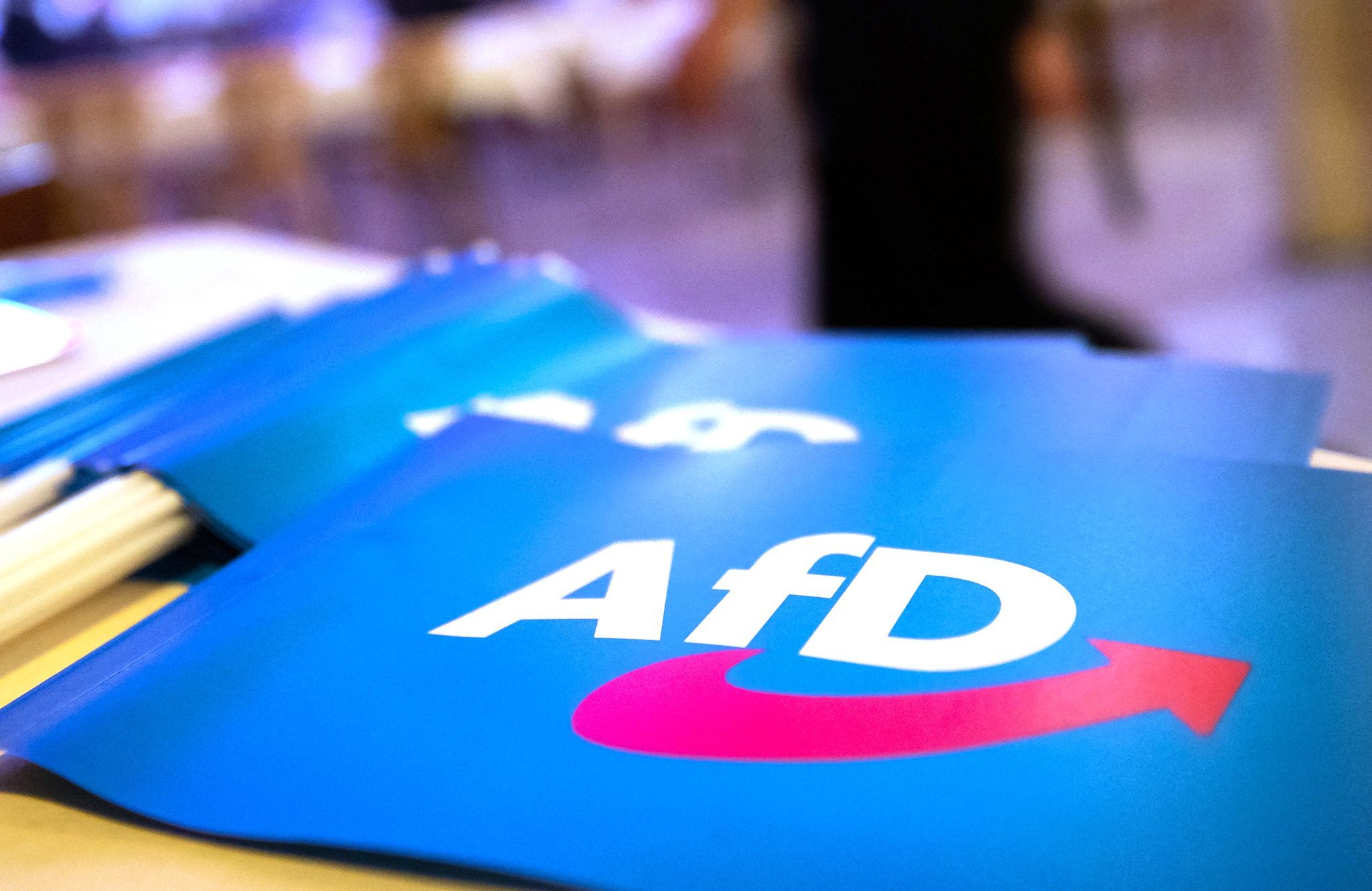 AfD-Kandidat ist wegen Haftstrafe nicht wählbar gewesen
