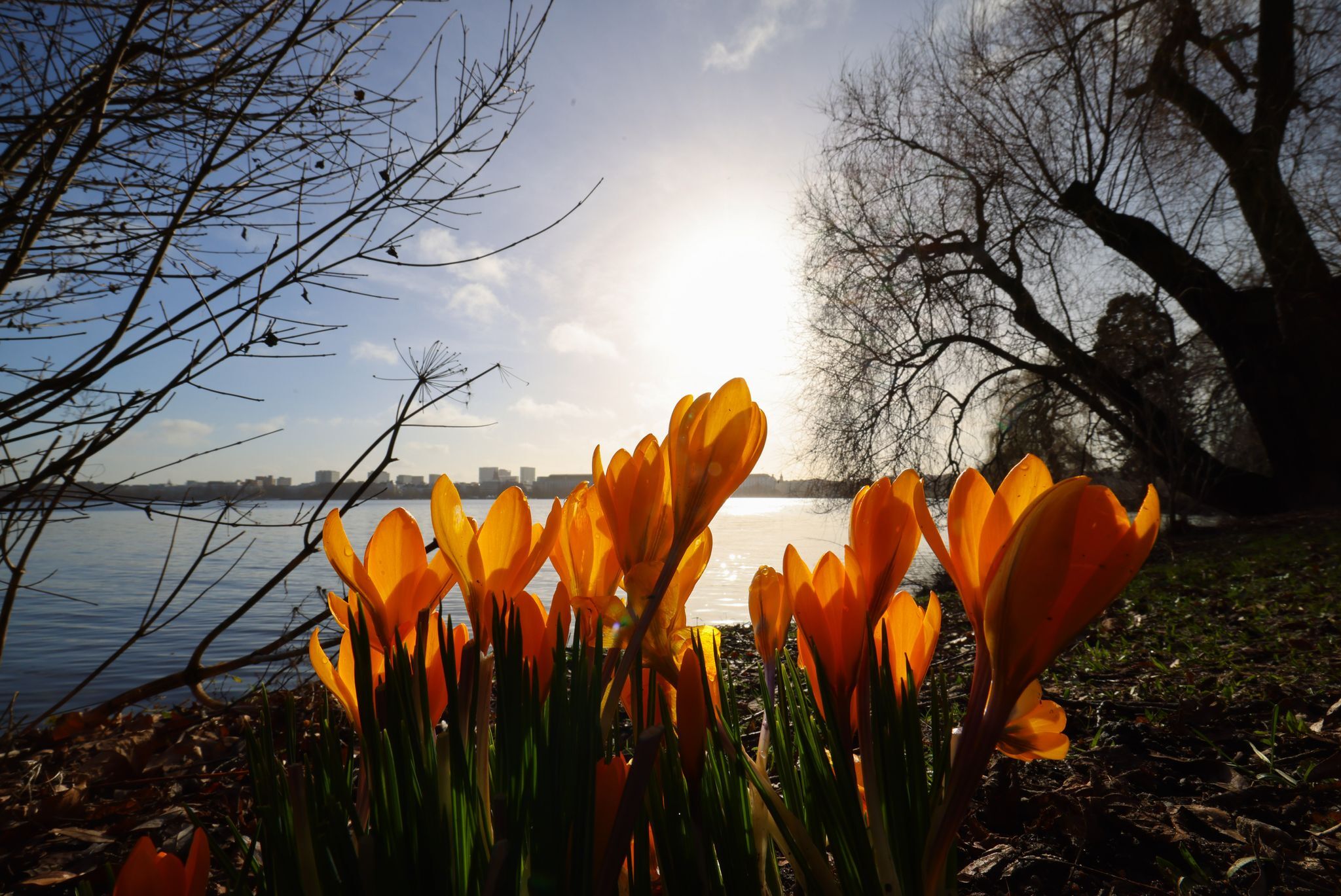 Der Frühling kommt zurück – mit Sonne und fast 20 Grad