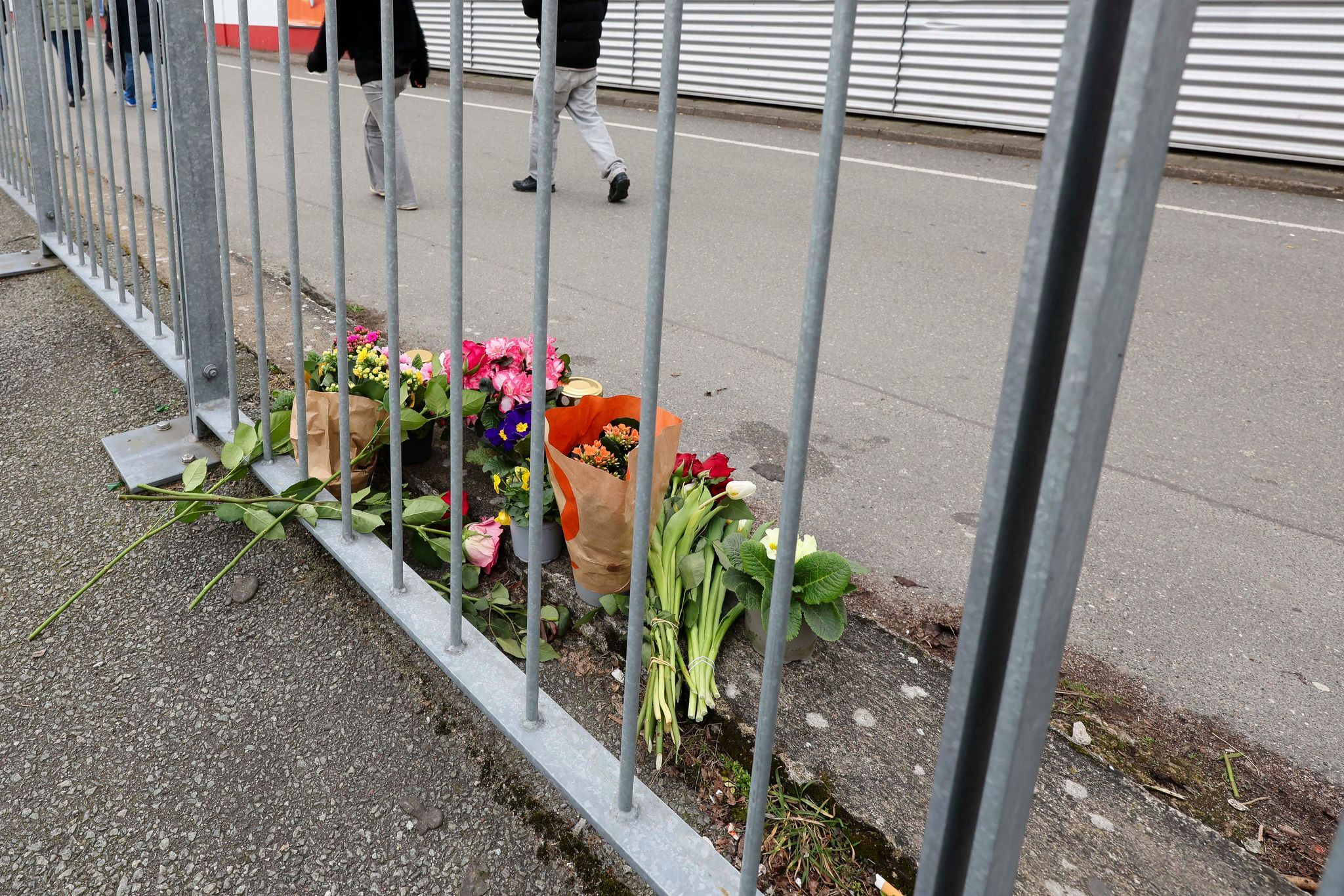 Tod eines Jugendlichen in Eckernförde: Mann in Haft