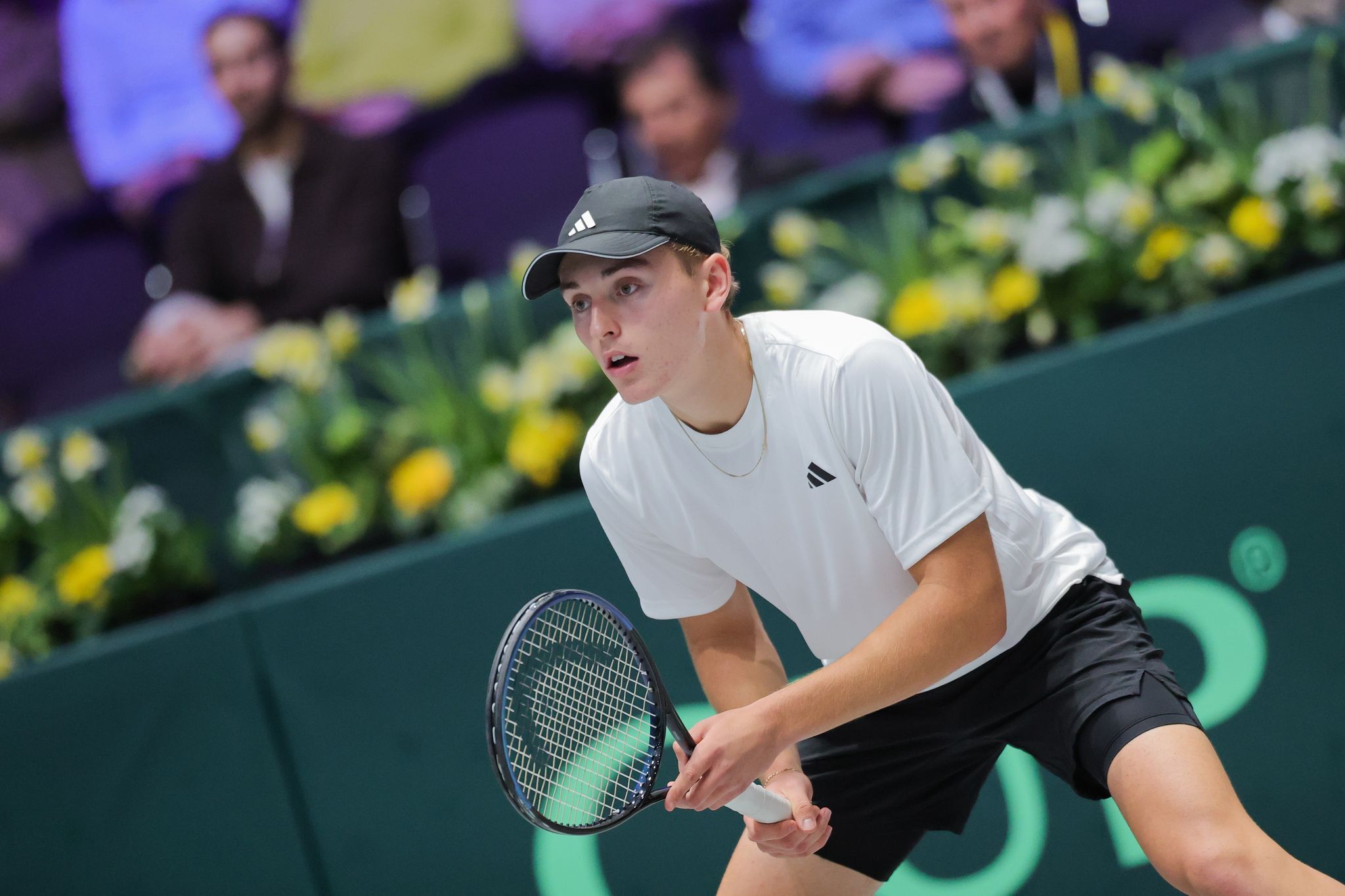 Wildcards für Engel und Kyrgios in Stuttgart