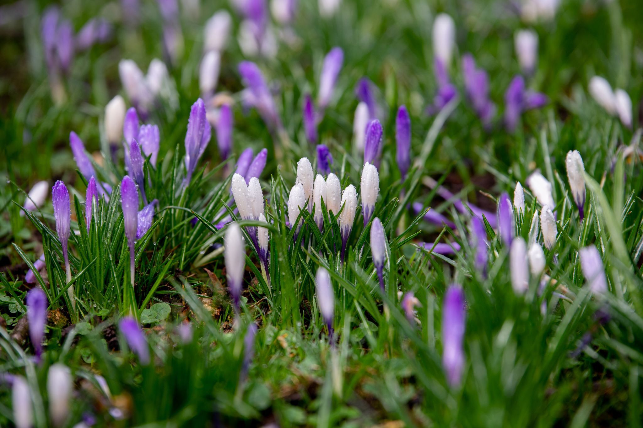 Wochenende startet wechselhaft, dann lockt die Sonne