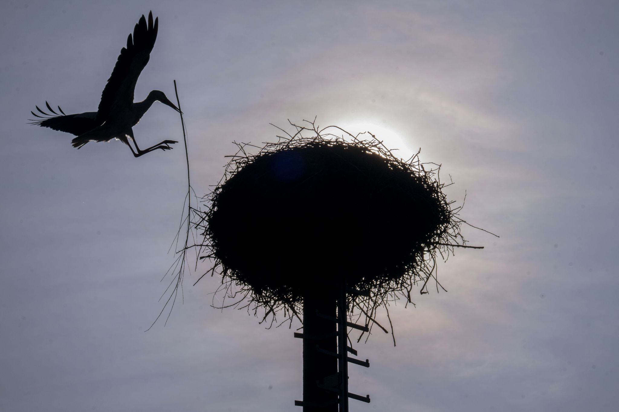 Sonne, Wolken, wenig Regen: Der Wochenstart wird wechselhaft