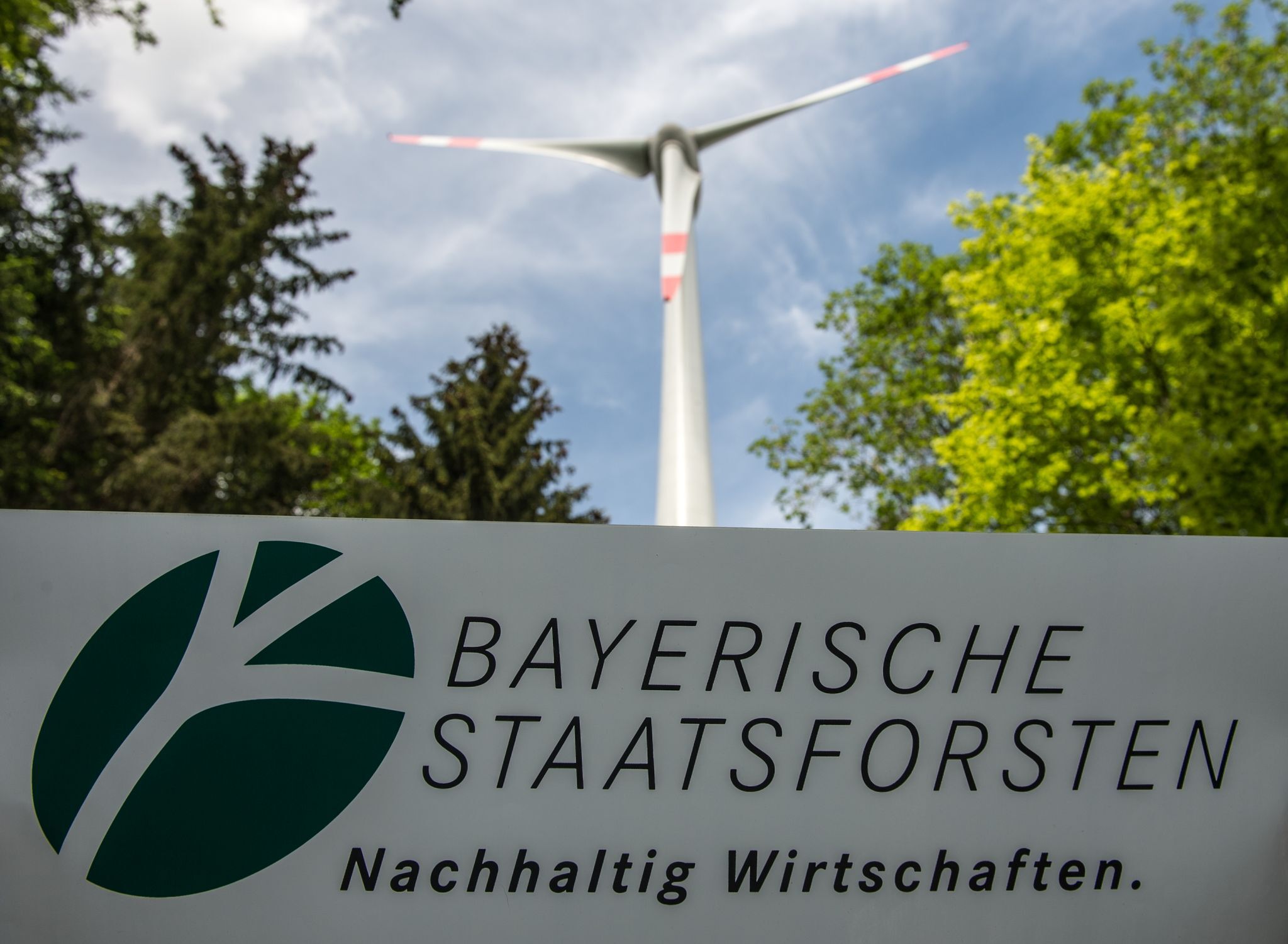 Vier neue Windparks in den Staatsforsten geplant