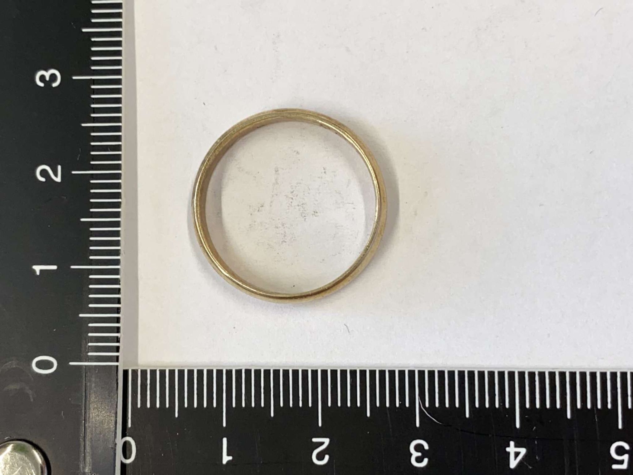 Kinder finden mehr als 60 goldene Ringe im Wald