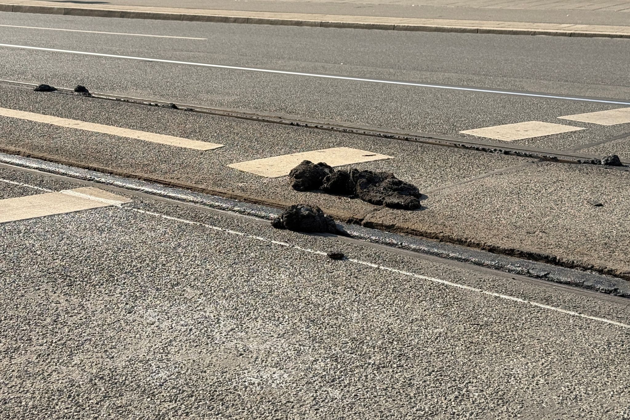 Hitzeschäden stoppen Nürnberger Straßenbahnen vorerst