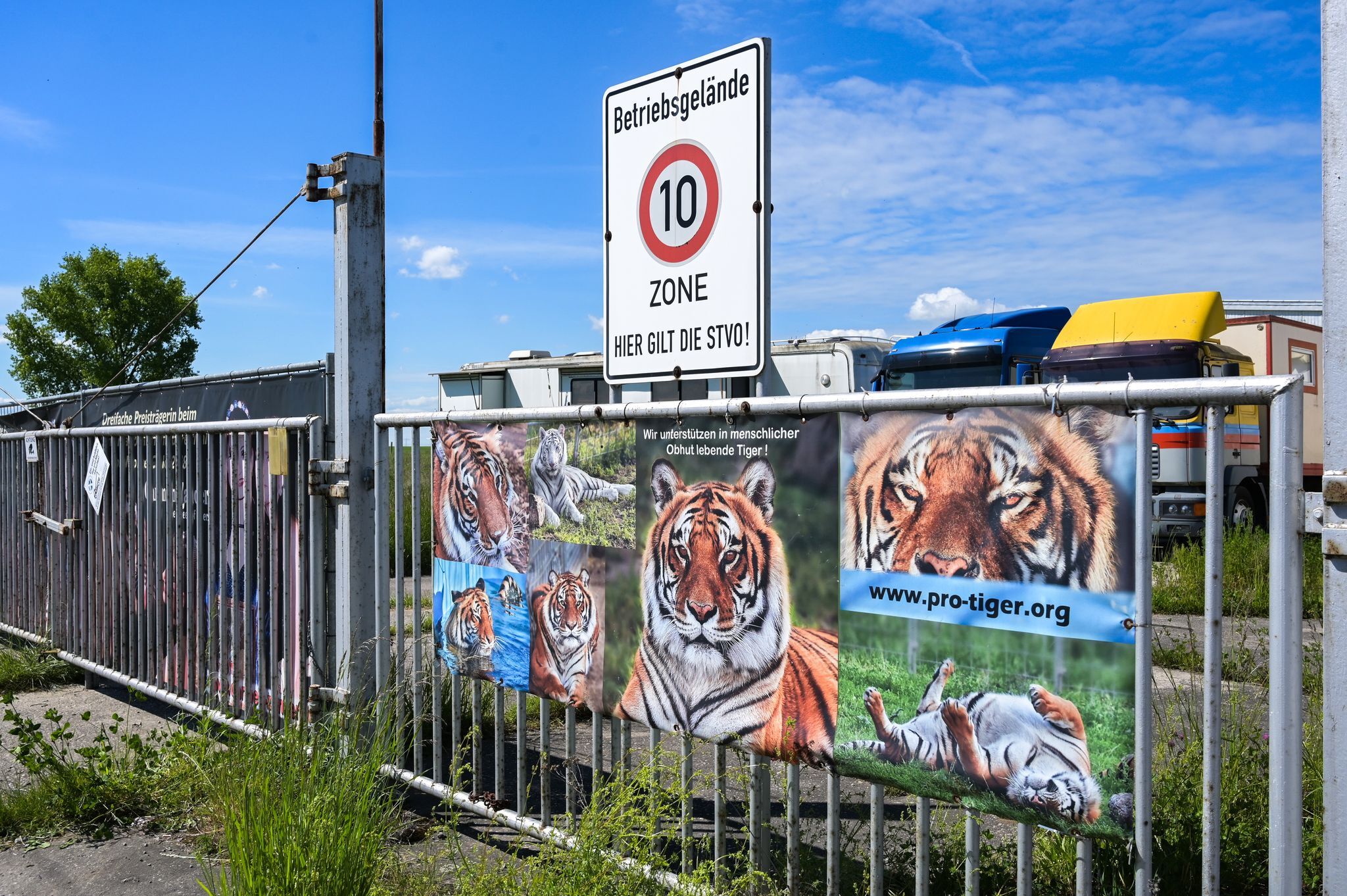 Nach Tigerausbruch – Behörden bei Haltung nahe Leipzig