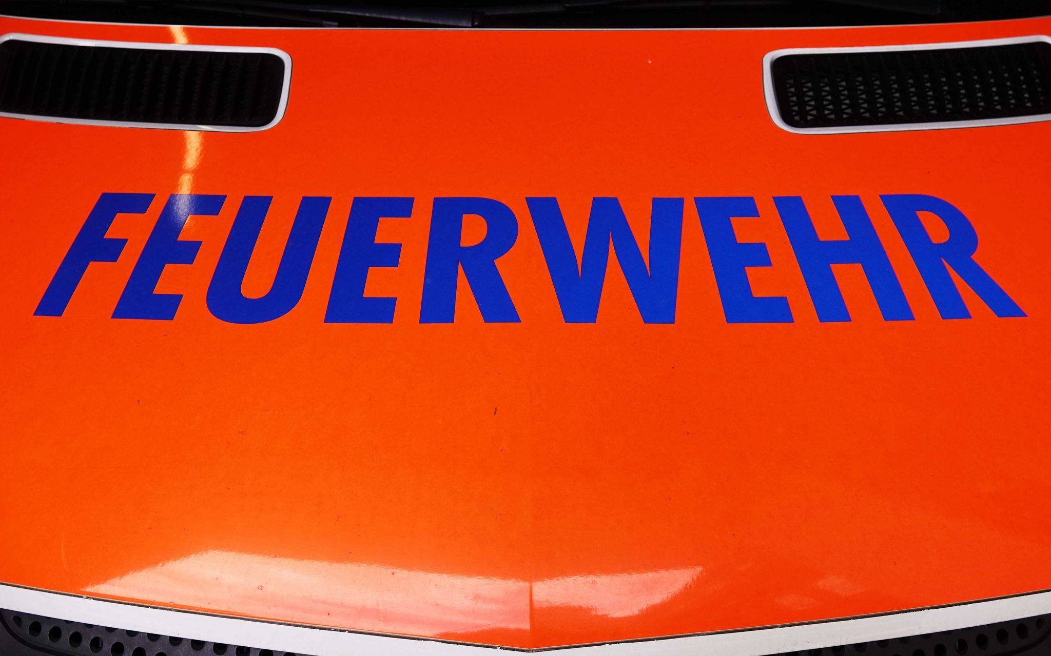 Geselliger Chinchilla wird Fall für die Feuerwehr