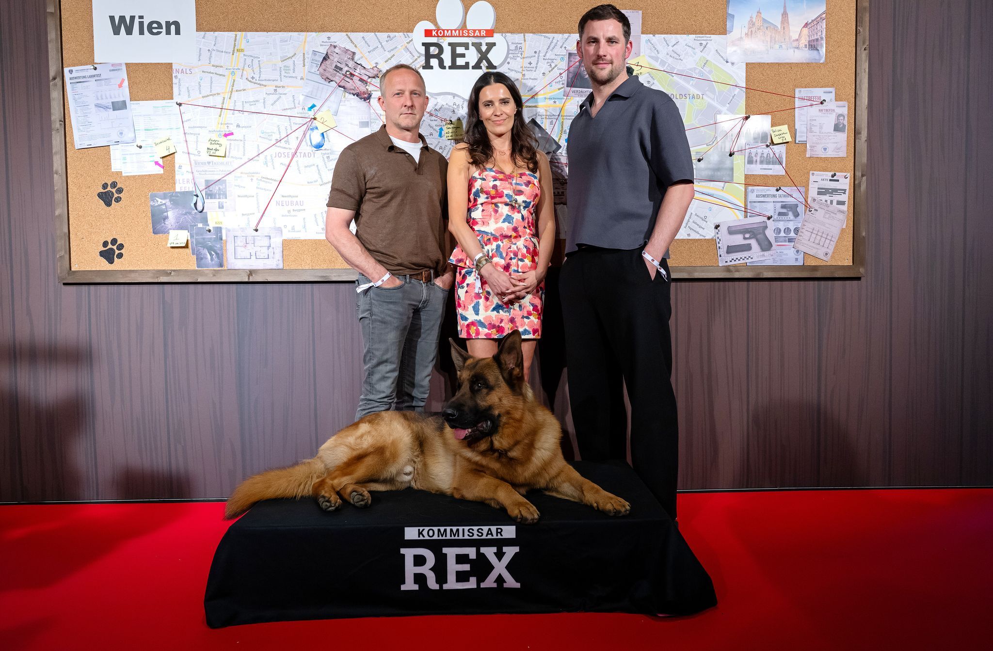 «Rex» bellt weiter in Wien, Joko & Klaas urlauben in Island