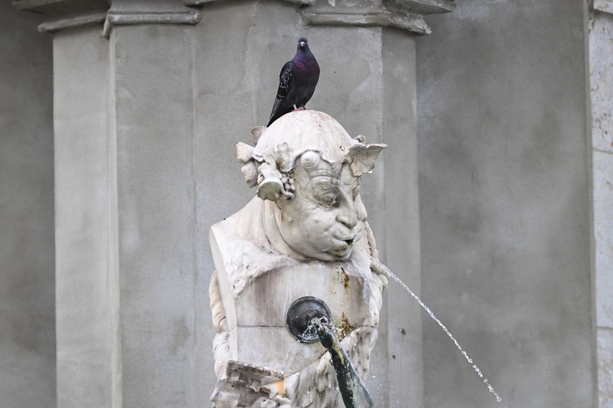 Hier kann es am Wochenende im Freistaat regnen