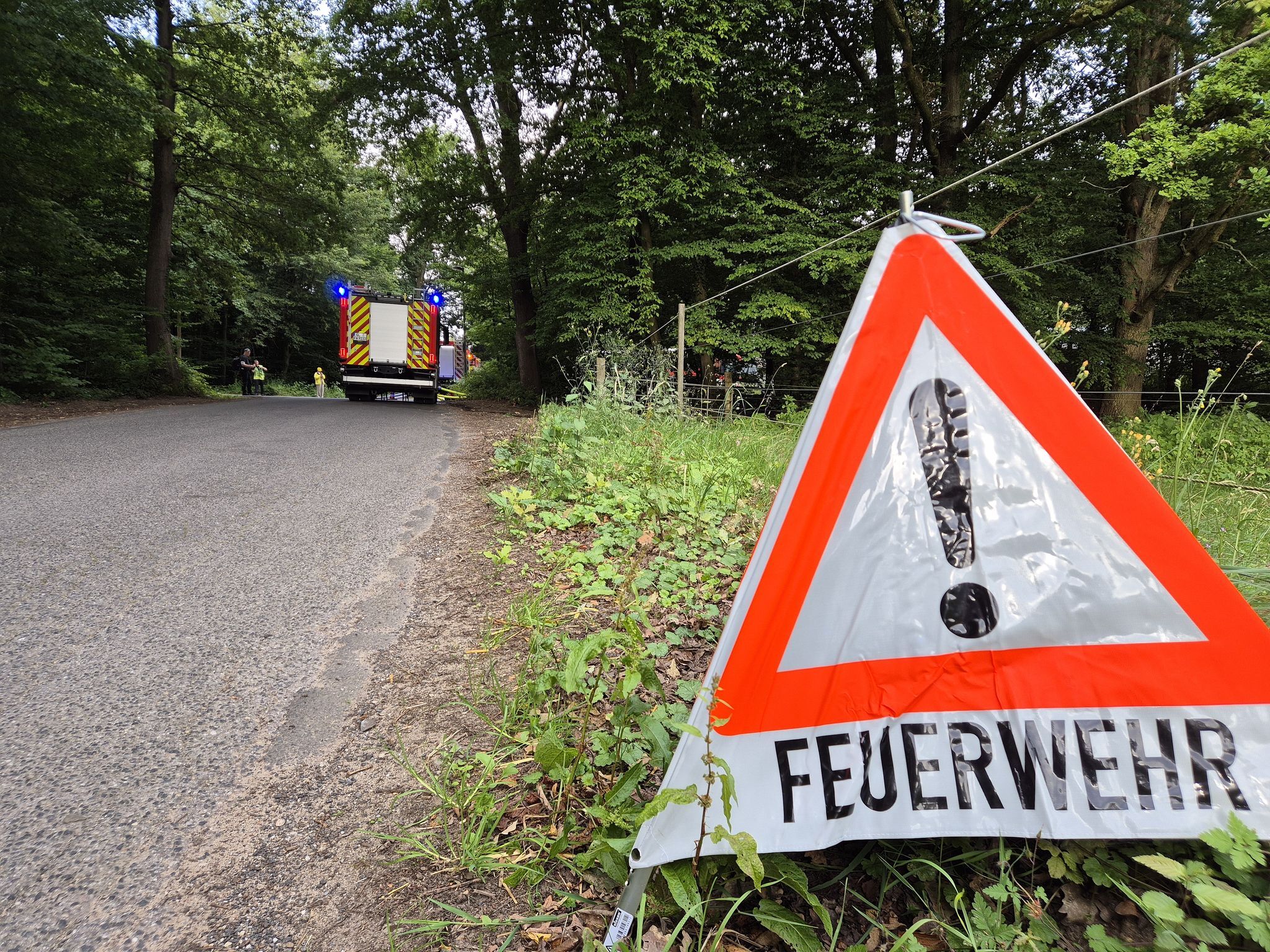 Feuerwehren: Brauchen mehr Technik für Waldbrand-Einsätze