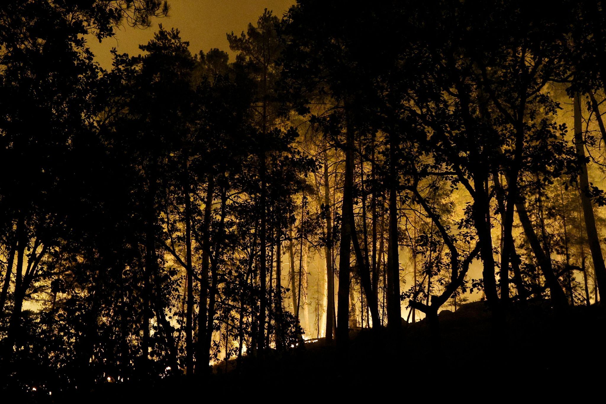 Waldbrand bei Paris – Verdacht auf Brandstiftung