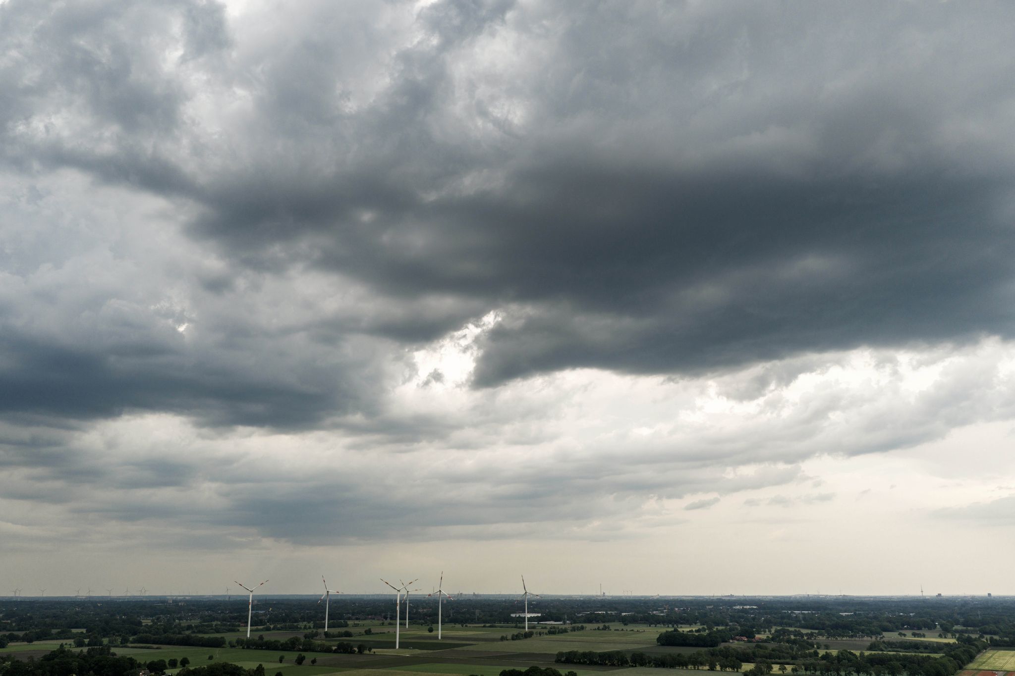 «Raps von Hagel und Sturm abrasiert» – Millionenschäden