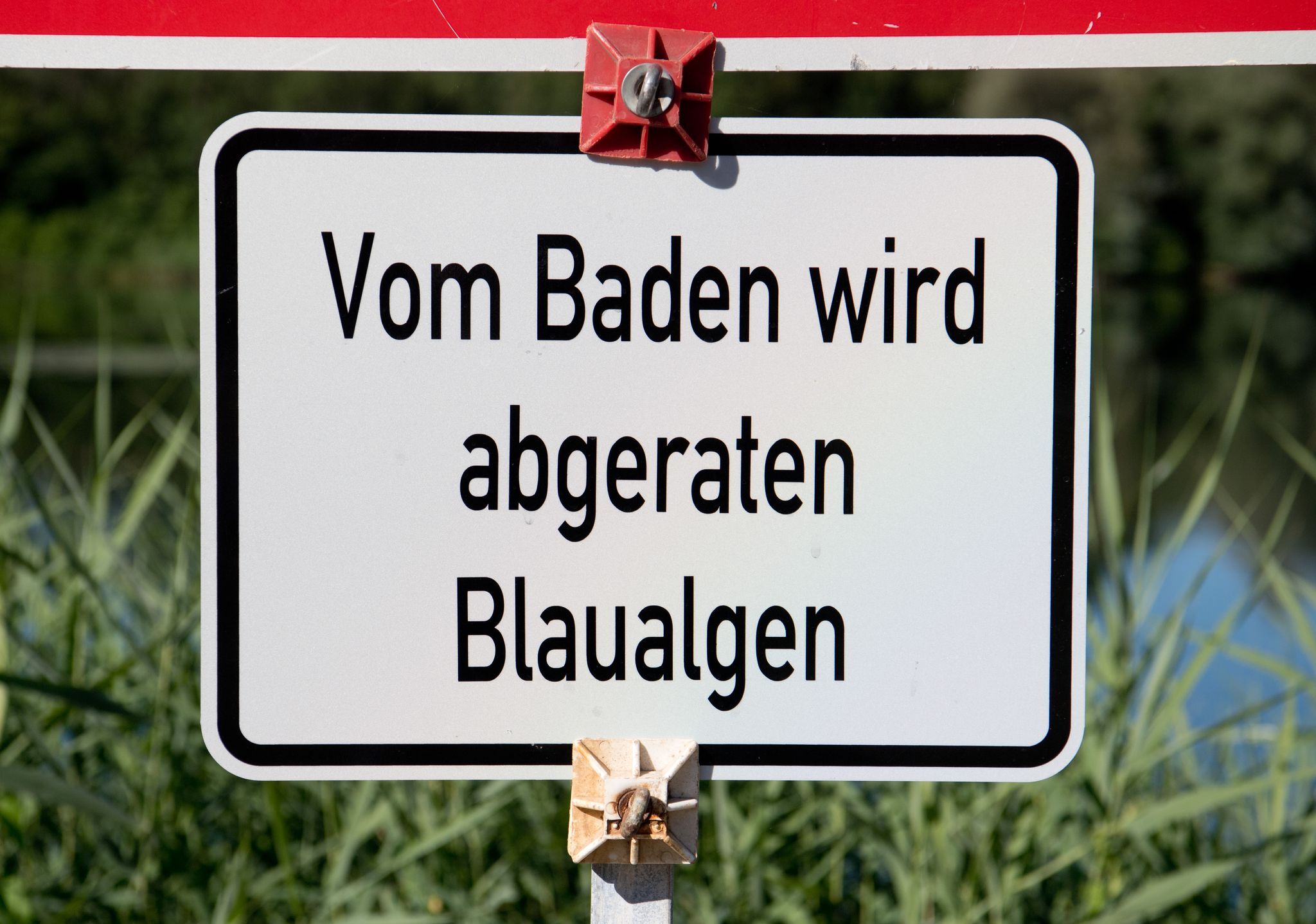 Badewarnung wegen Blaualgen in Baggersee in Oberfranken